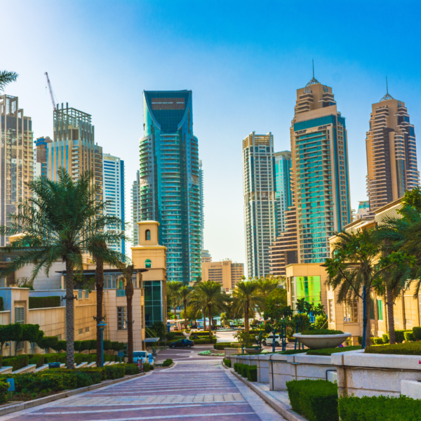 Dubai City Tour
