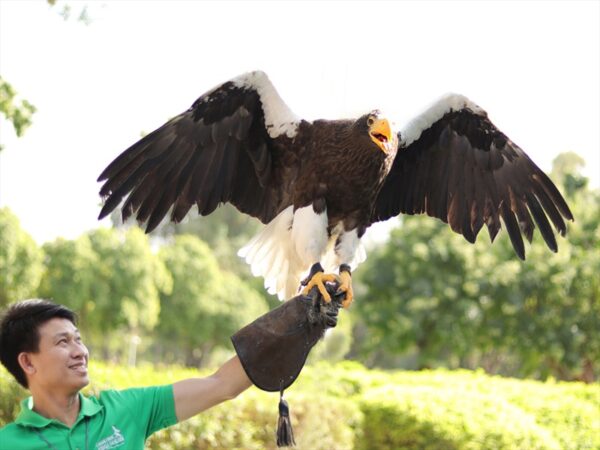 Creek Park Exotic Bird Show