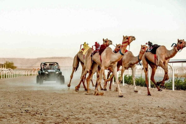 Dubai Camel Track Village
