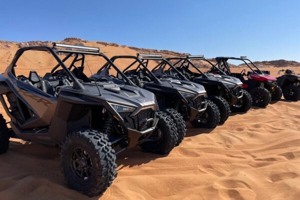 Tiger Buggy Ride