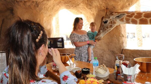 Emirates Park Zoo & Resort