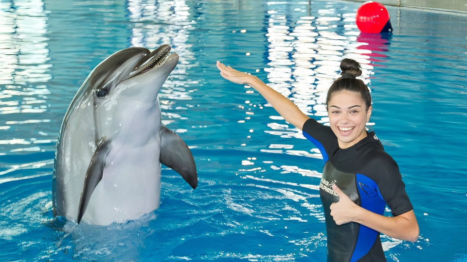 Dubai Dolphinarium